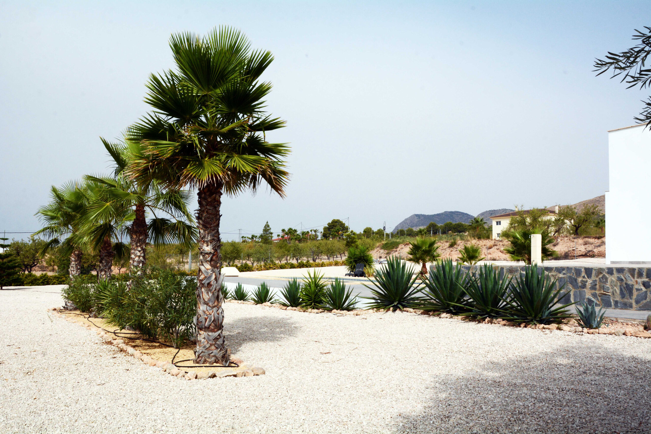 Prachtige Villa met groot stuk grond — foto 2